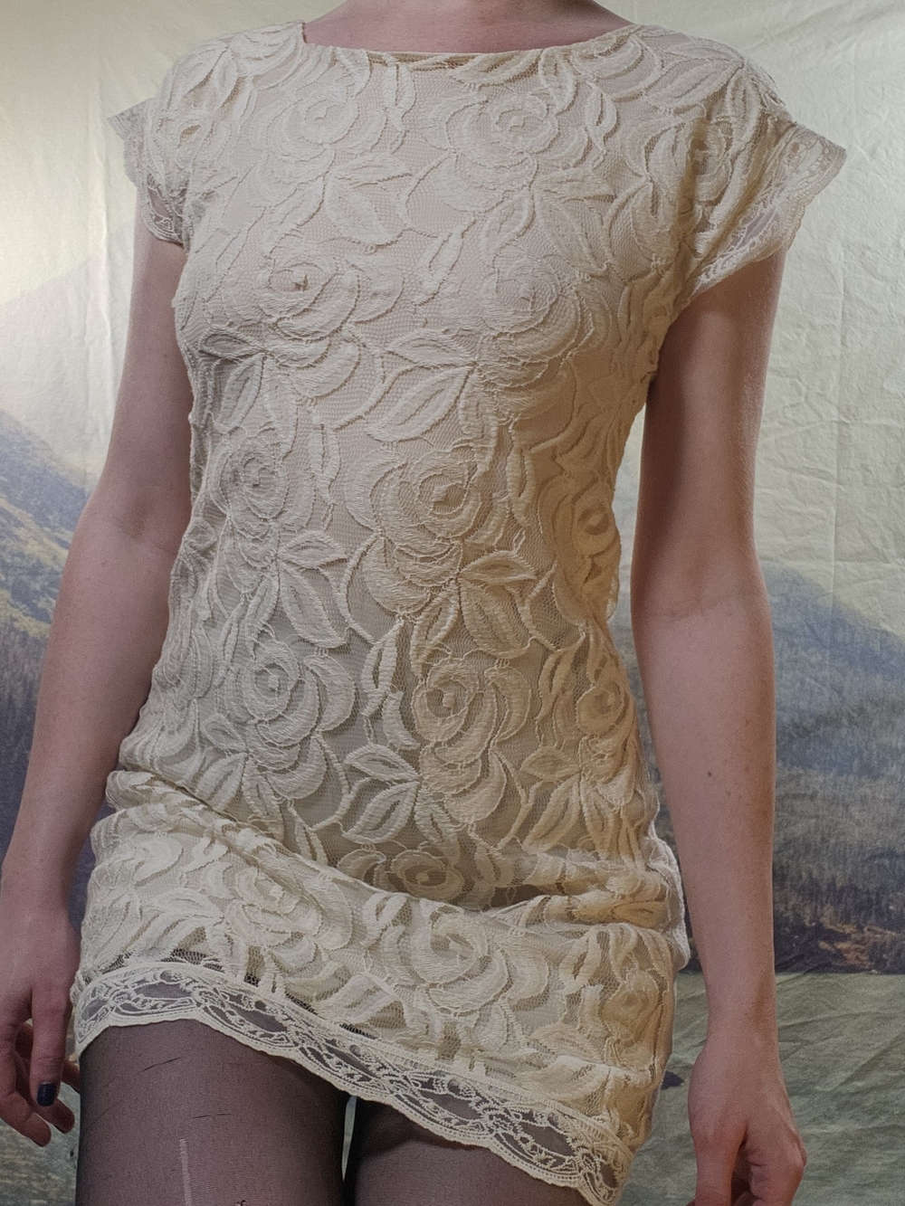 Rose Lace Cream Mini Dress Small S